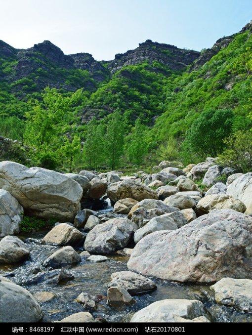 熊出没水果大陆2